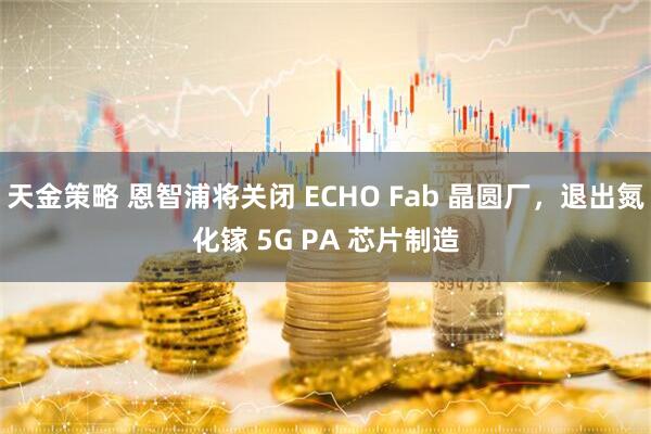 天金策略 恩智浦将关闭 ECHO Fab 晶圆厂，退出氮化镓 5G PA 芯片制造