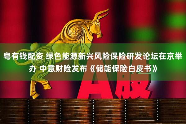 粤有钱配资 绿色能源新兴风险保险研发论坛在京举办 中意财险发布《储能保险白皮书》